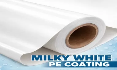 Milky White PE (Coating): A Comprehensive Technical Overview